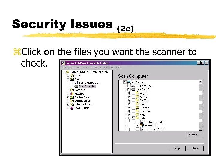 Security Issues (2 c) z. Click on the files you want the scanner to
