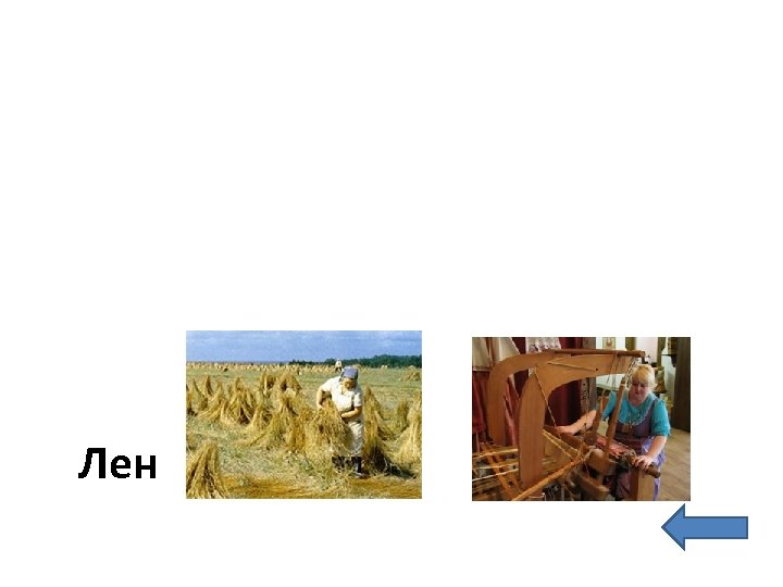 Лен 
