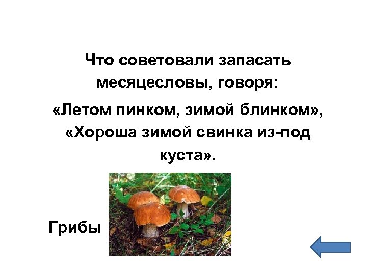 Что советовали запасать месяцесловы, говоря: «Летом пинком, зимой блинком» , «Хороша зимой свинка из-под