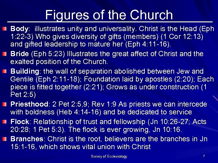 Figures of the Church Body: illustrates unity and universality. Christ is the Head (Eph