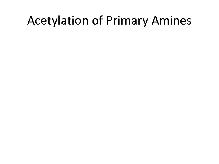Acetylation of Primary Amines 