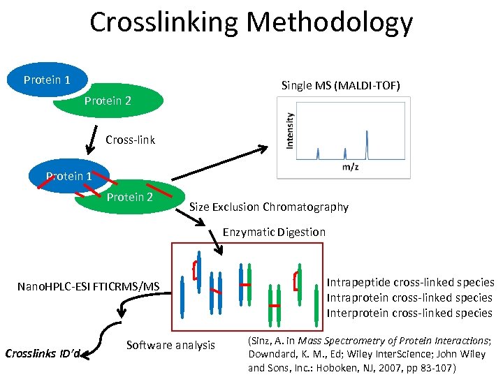 Crosslinking Methodology Protein 11 Protein Single MS (MALDI-TOF) Protein 2 Cross-link Protein 11 Protein