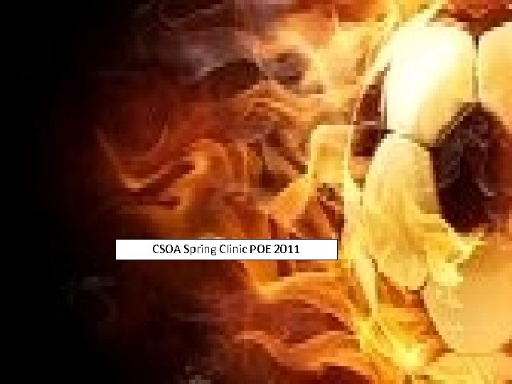 CSOA Spring Clinic POE 2011 