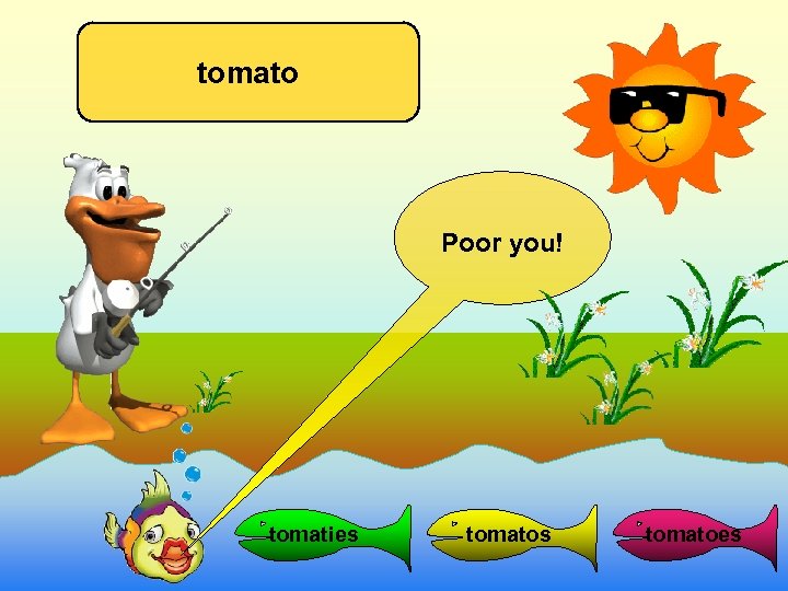 tomato Poor you! tomaties tomatoes 