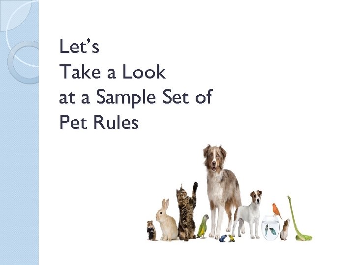 Let’s Take a Look at a Sample Set of Pet Rules 