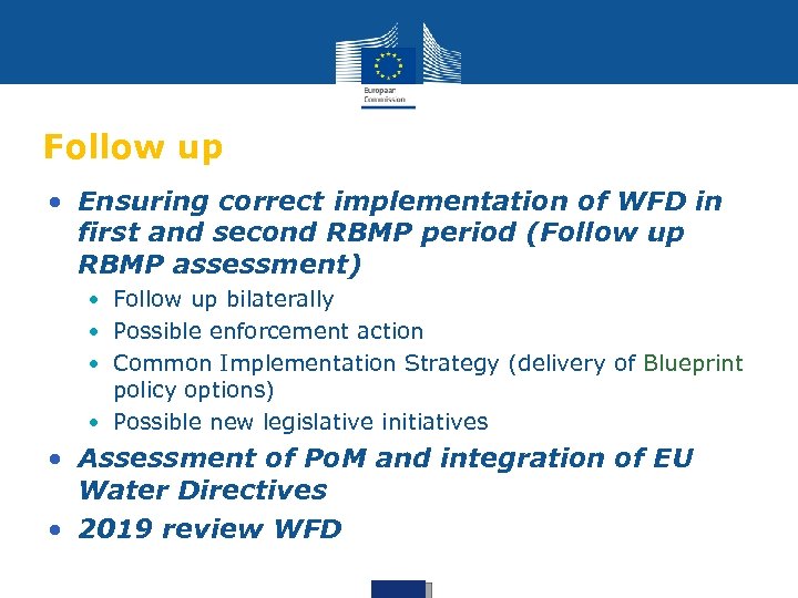 Follow up • Ensuring correct implementation of WFD in first and second RBMP period