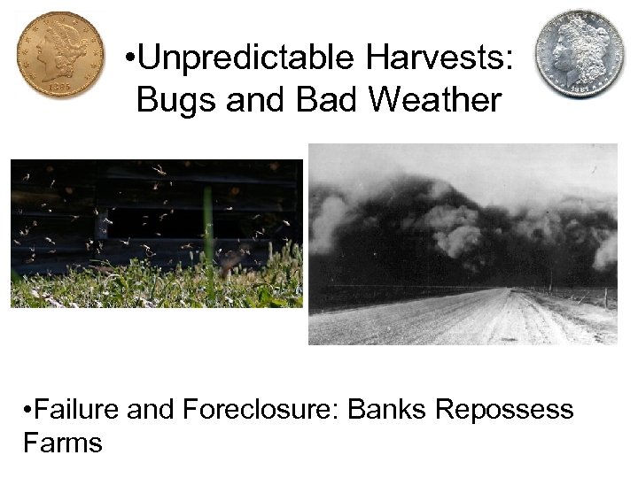  • Unpredictable Harvests: Bugs and Bad Weather • Failure and Foreclosure: Banks Repossess