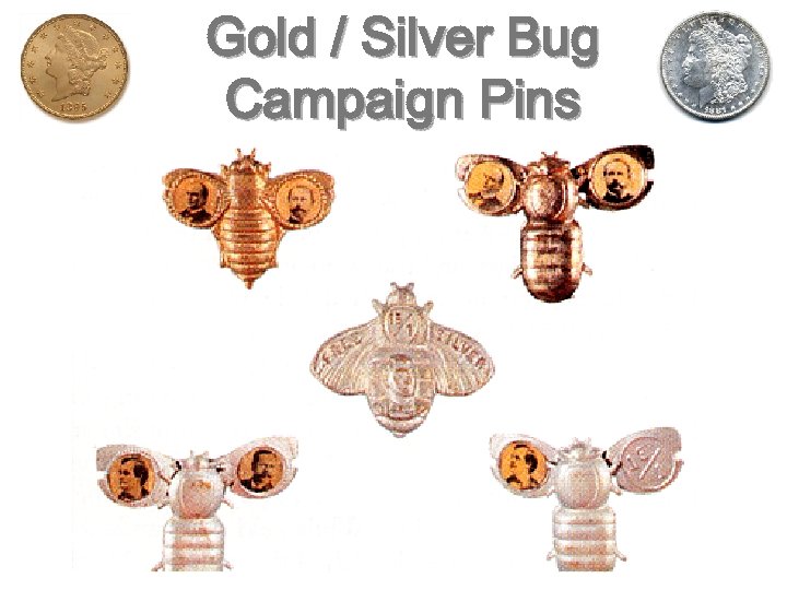 Gold / Silver Bug Campaign Pins 