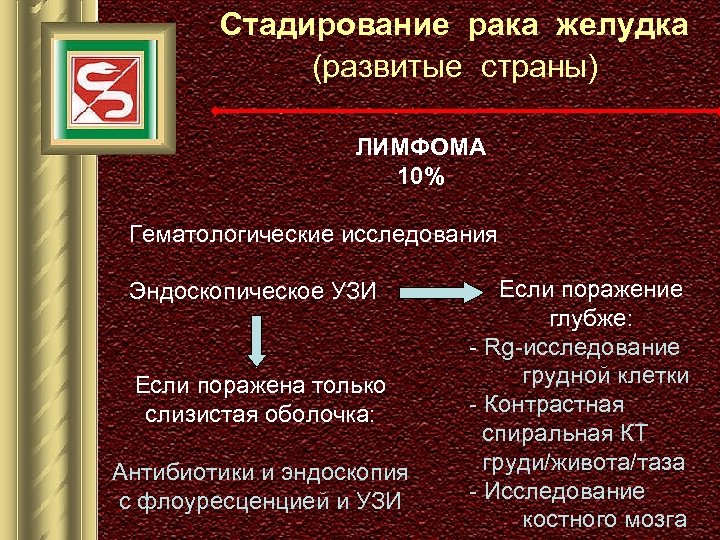 Стадирование рака желудка (развитые страны) ЛИМФОМА 10% Гематологические исследования Эндоскопическое УЗИ Если поражена только