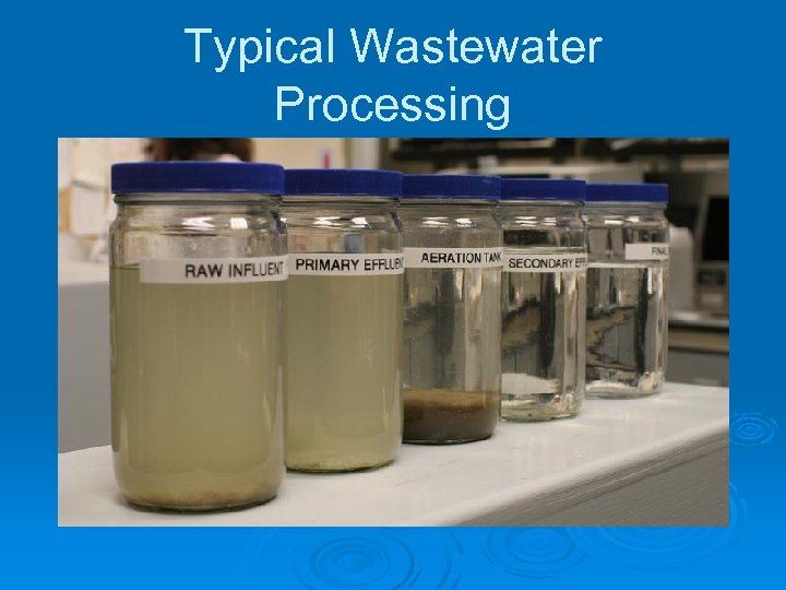 Typical Wastewater Processing 