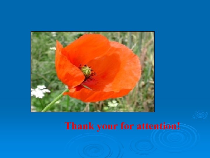 Thank your for attention! 