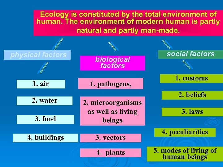 Ecology is constituted by the total environment of human. The environment of modern human