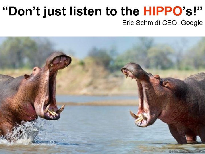 “Don’t just listen to the HIPPO’s!” Eric Schmidt CEO. Google 