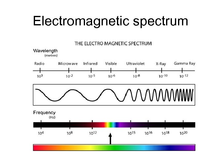 Electromagnetic spectrum 