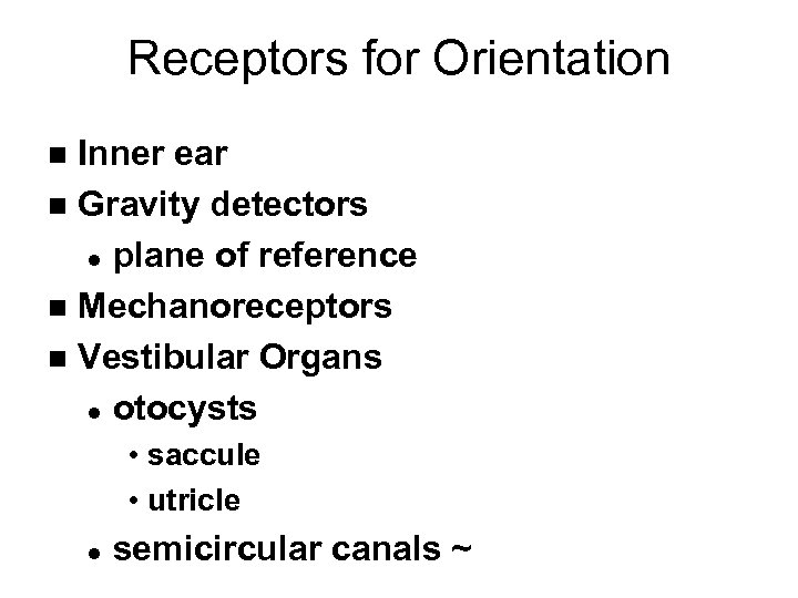 Receptors for Orientation Inner ear n Gravity detectors l plane of reference n Mechanoreceptors