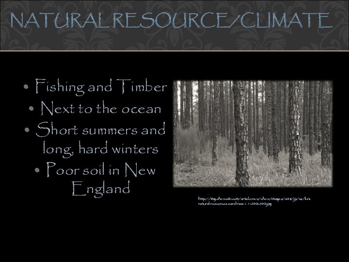  • Fishing and Timber • Next to the ocean • Short summers and