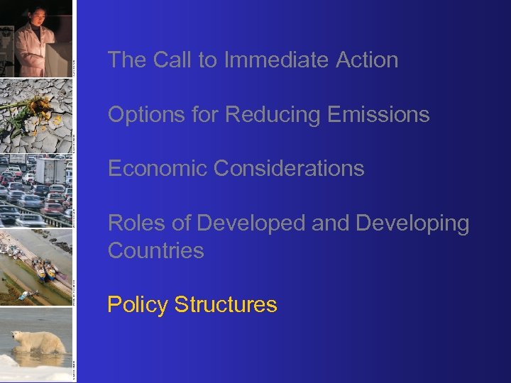 The Call to Immediate Action Options for Reducing Emissions Economic Considerations Roles of Developed