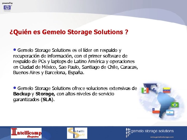 ¿Quién es Gemelo Storage Solutions ? • Gemelo Storage Solutions es el líder en