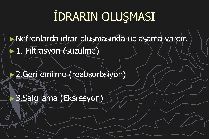 İDRARIN OLUŞMASI ► Nefronlarda idrar oluşmasında üç aşama vardır. ► 1. Filtrasyon (süzülme) ►