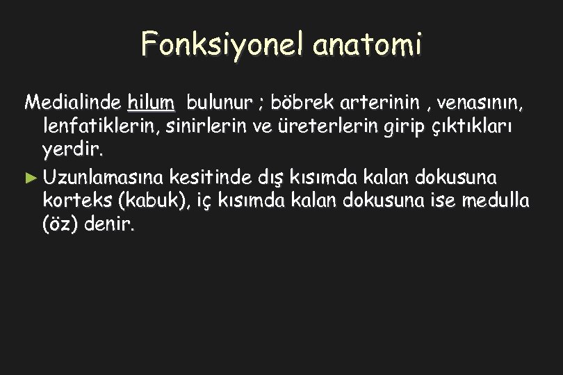Fonksiyonel anatomi Medialinde hilum bulunur ; böbrek arterinin , venasının, lenfatiklerin, sinirlerin ve üreterlerin