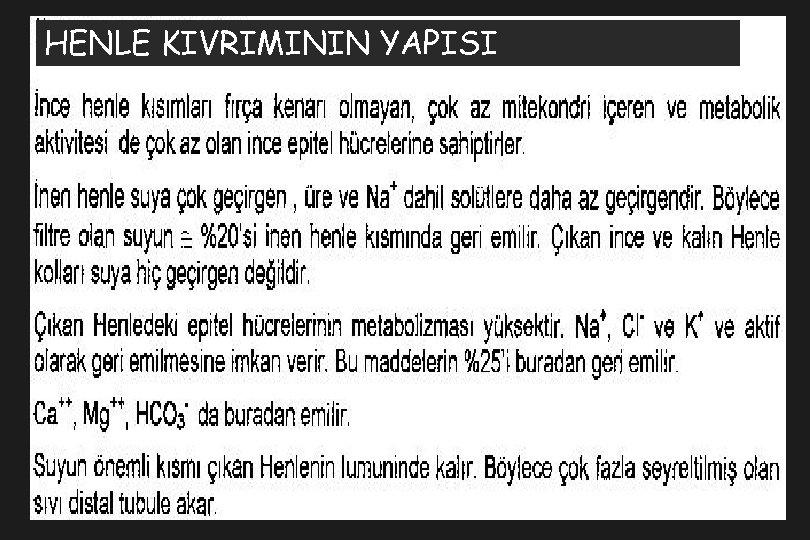 HENLE KIVRIMININ YAPISI 