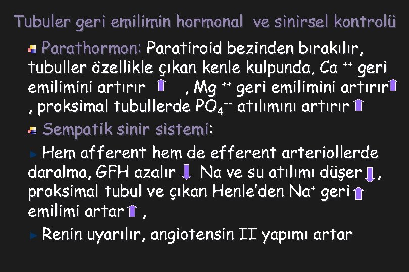 Tubuler geri emilimin hormonal ve sinirsel kontrolü Parathormon: Paratiroid bezinden bırakılır, tubuller özellikle çıkan