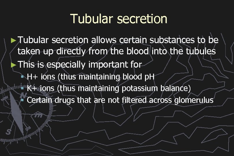 Tubular secretion ► Tubular secretion allows certain substances to be taken up directly from