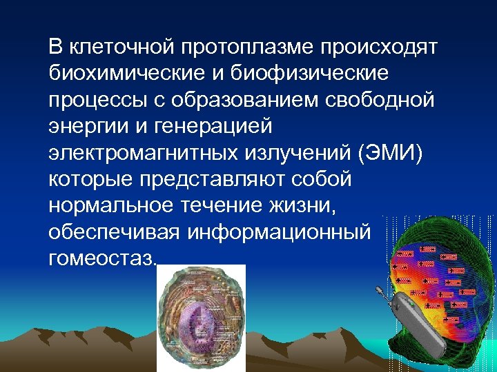 В клеточной протоплазме происходят биохимические и биофизические процессы с образованием свободной энергии и генерацией
