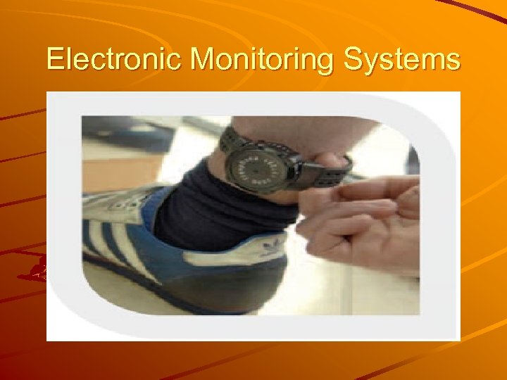 Electronic Monitoring Systems 