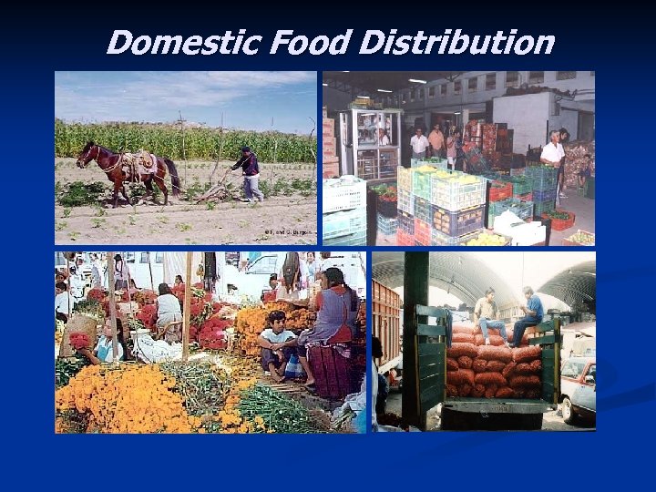 Domestic Food Distribution 
