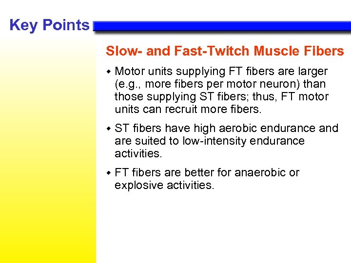 Key Points Slow- and Fast-Twitch Muscle Fibers w Motor units supplying FT fibers are