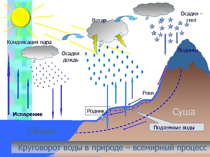 Осадки – снег Ветер Конденсация пара Ледники Осадки дождь Реки Испарение Океан Родник Суша