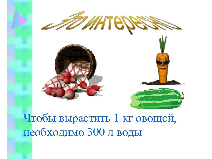 Чтобы вырастить 1 кг овощей, необходимо 300 л воды 