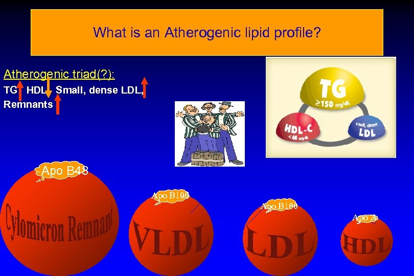 What is an Atherogenic lipid profile? Atherogenic triad(? ): TG HDL, Small, dense LDL,
