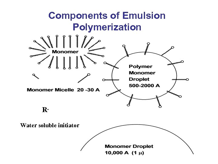 Components of Emulsion Polymerization R. Water soluble initiator 