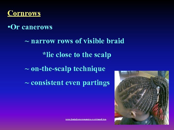 Cornrows • Or canerows ~ narrow rows of visible braid *lie close to the