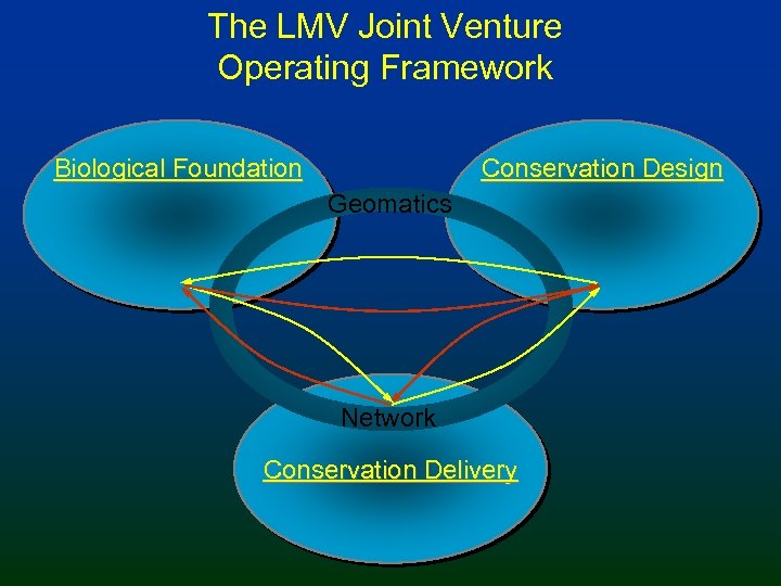 The LMV Joint Venture Operating Framework Biological Foundation Conservation Design Geomatics Network Conservation Delivery