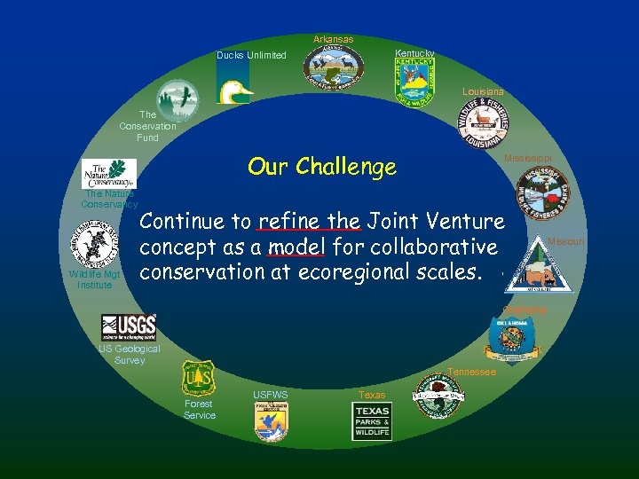 Arkansas Kentucky Ducks Unlimited Louisiana The Conservation Fund Our Challenge The Nature Conservancy Wildlife