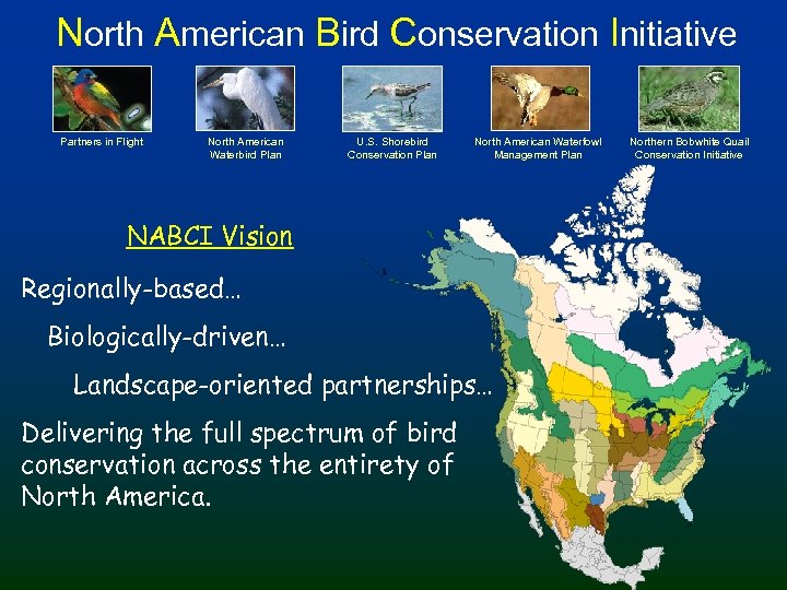 North American Bird Conservation Initiative Partners in Flight North American Waterbird Plan U. S.