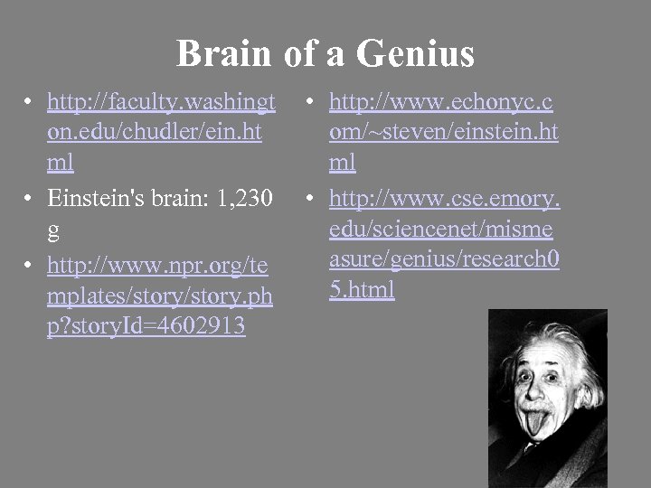 Brain of a Genius • http: //faculty. washingt • http: //www. echonyc. c on.