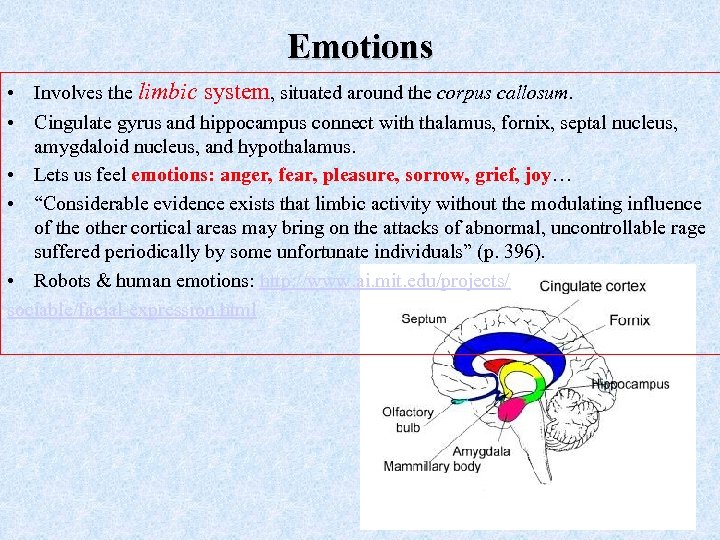 Emotions • Involves the limbic system, situated around the corpus callosum. • Cingulate gyrus