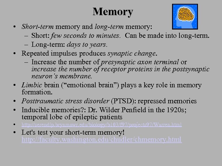 Memory • Short-term memory and long-term memory: – Short: few seconds to minutes. Can