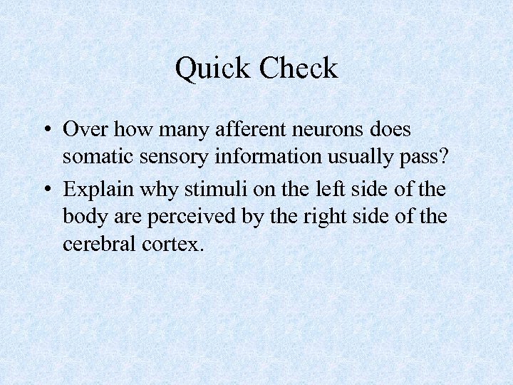 Quick Check • Over how many afferent neurons does somatic sensory information usually pass?