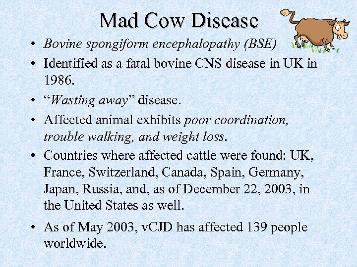 Mad Cow Disease • Bovine spongiform encephalopathy (BSE) • Identified as a fatal bovine