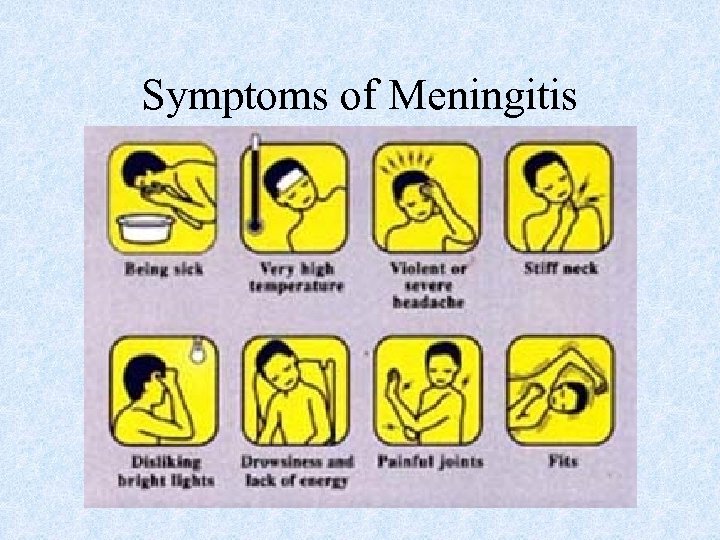 Symptoms of Meningitis 