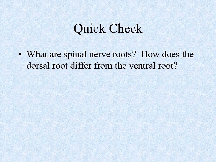 Quick Check • What are spinal nerve roots? How does the dorsal root differ