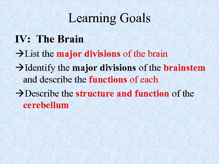 Learning Goals IV: The Brain List the major divisions of the brain Identify the