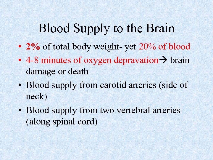 Blood Supply to the Brain • 2% of total body weight- yet 20% of