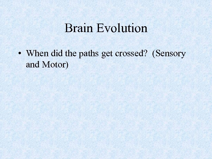 Brain Evolution • When did the paths get crossed? (Sensory and Motor) 