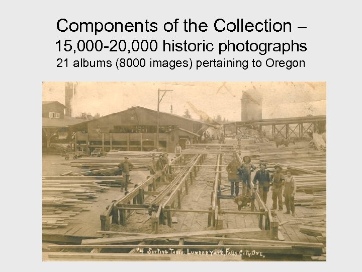 Components of the Collection – 15, 000 -20, 000 historic photographs 21 albums (8000